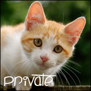 7.Private